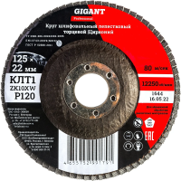 Круг лепестковый Gigant Professional 125х22.2 мм, P120, цирконий