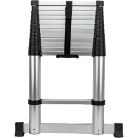 Телескопическая лестница Gigant LT-01 1x13
