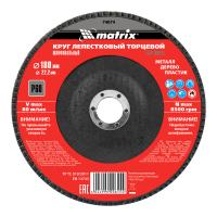Круг лепестковый торцевой, P 60, 180 х 22.2 мм Matrix