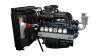 Двигатель Doosan DP222LC