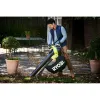 Электрическая воздуходувка RBV3000CESV Ryobi