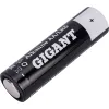 Батарейка Gigant Alkaline АА/LR6