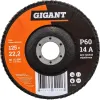 Лепестковый круг Gigant G-11036