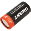 Литиевая батарейка Gigant Lithium CR123A