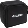Лазерный уровень Gigant GSMP-2