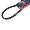 Ремень PATRIOT 4LXP895 для снегоуборщика
