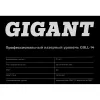 Профессиональный лазерный уровень Gigant GBLL-14