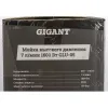 Мойка высокого давления Gigant GLU-05