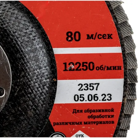 Круг лепестковый Gigant Professional 125х22.2 мм, P40, цирконий