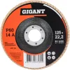 Торцевой круг лепестковый Gigant GRF-60-10