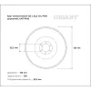 Круг лепестковый Gigant Professional 125х22.2 мм, P120, цирконий