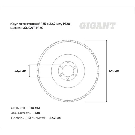 Круг лепестковый Gigant Professional 125х22.2 мм, P120, цирконий