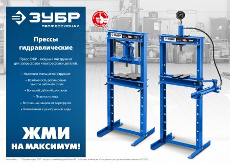 ЗУБР ПГН-10, 10 т, гидравлический пресс с гидронасосом и манометром, Профессионал (43072-10)