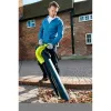 Электрическая воздуходувка RBV3000CESV Ryobi