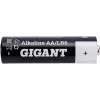 Батарейка Gigant Alkaline АА/LR6