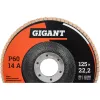 Торцевой круг лепестковый Gigant GRF-60-10