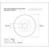 Круг лепестковый Gigant Professional 125х22.2 мм, P80, цирконий