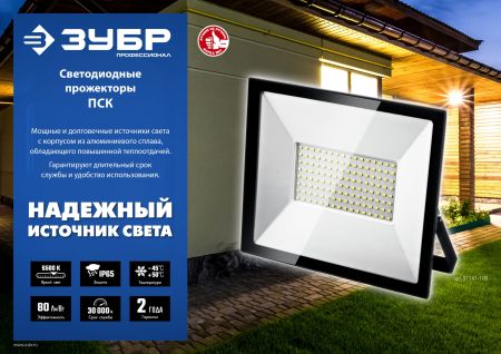 ЗУБР ПСК-200, 200 Вт, 6500 К, IP 65, светодиодный прожектор, Профессионал (57141-200)