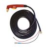 Aurora Плазменный резак PT50 (2pin, 3/8G) 6m