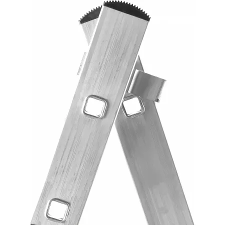 Двухсекционная лестница Gigant L-02