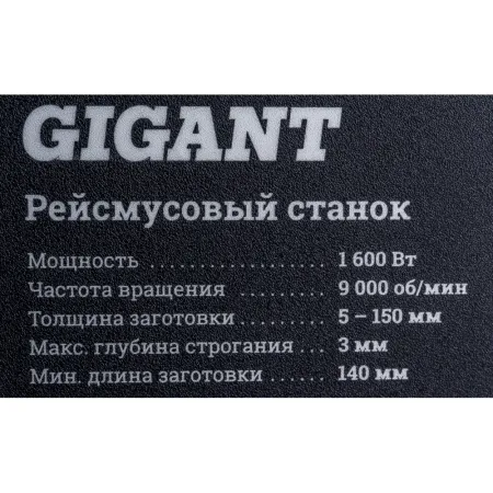 Рейсмусовый станок Gigant TPJ-320-1600