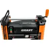 Рейсмусовый станок Gigant TPJ-320-1800HH