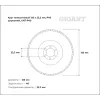 Круг лепестковый Gigant Professional 125х22.2 мм, P40, цирконий