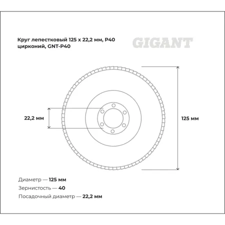 Круг лепестковый Gigant Professional 125х22.2 мм, P40, цирконий